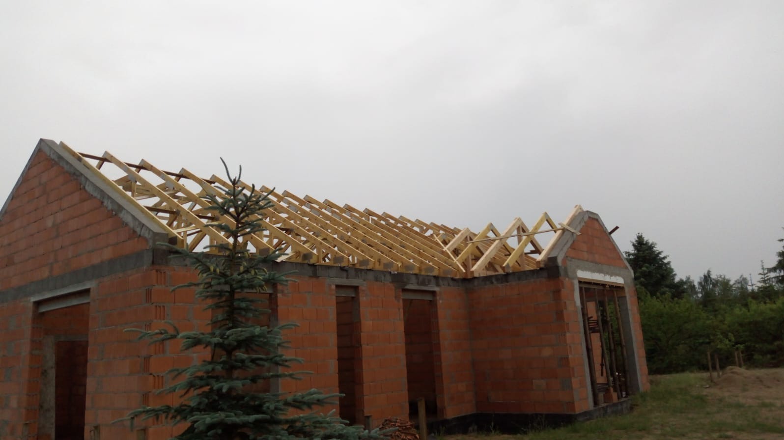 Budowa domu jednorodzinnego w stanie surowym otwartym, widoczne ściany z czerwonej cegły i drewniana konstrukcja dachu, na pierwszym planie mała choinka