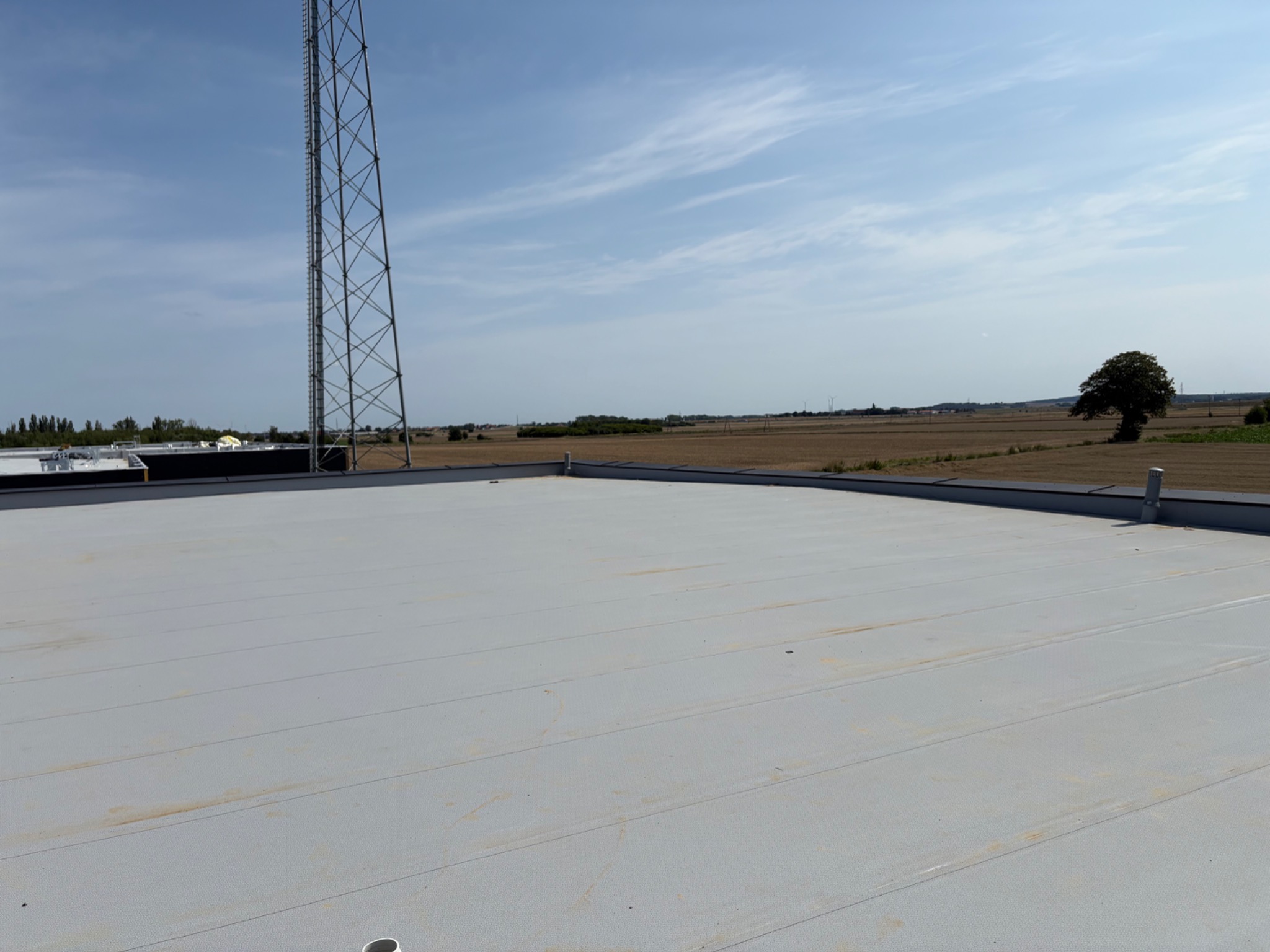 Jasnoszary, płaski dach budynku z widocznymi łączeniami, na tle błękitnego nieba i krajobrazu z drzewem i wieżą telekomunikacyjną w oddali. Widok z góry.
