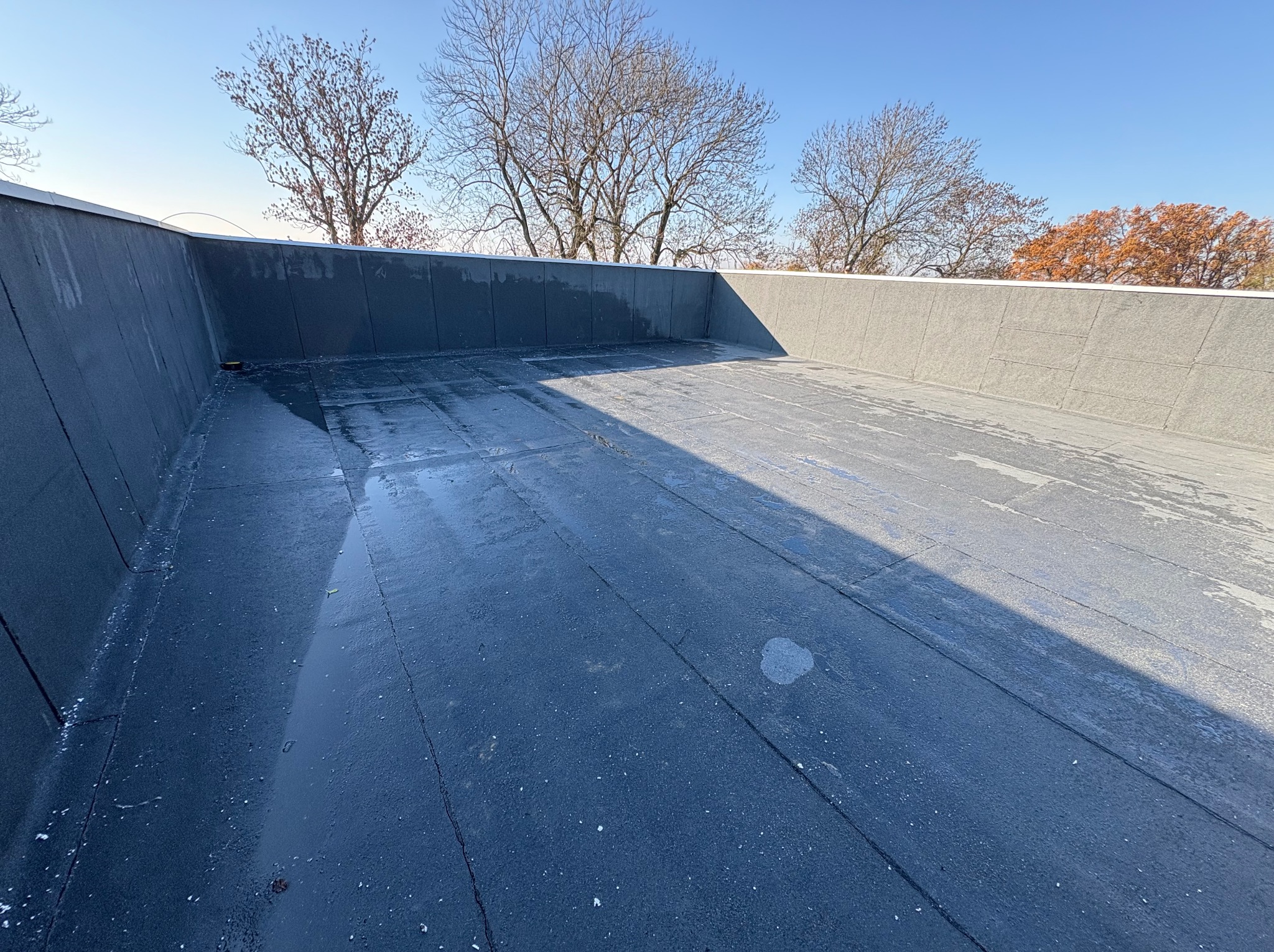 Płaski dach pokryty papą termozgrzewalną, widoczne łączenia i niewielkie kałuże. W tle drzewa bez liści i fragment niebieskiego nieba.