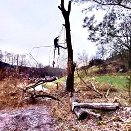 Dorota Wąsalsks - Piękne Ogrody Krak&oacute;w