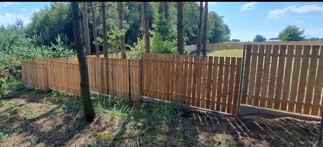 Nowo postawione, drewniane ogrodzenie z pionowych desek, częściowo na betonowej podmurówce, otaczające teren porośnięty trawą, w tle las iglasty.