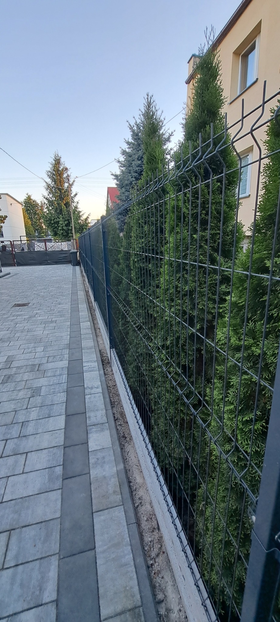 Nowoczesne ogrodzenie panelowe z siatki zgrzewanej, zamontowane na betonowej podmurówce, z widoczną kostką brukową i tujami w tle.