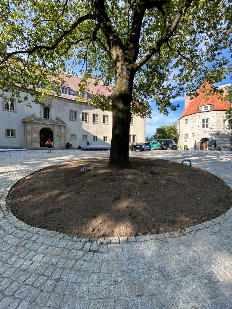 Szorowanie i mycie fużych powierzchni z kostki betonowej i kamiennej. Zamek w Przegorzałach