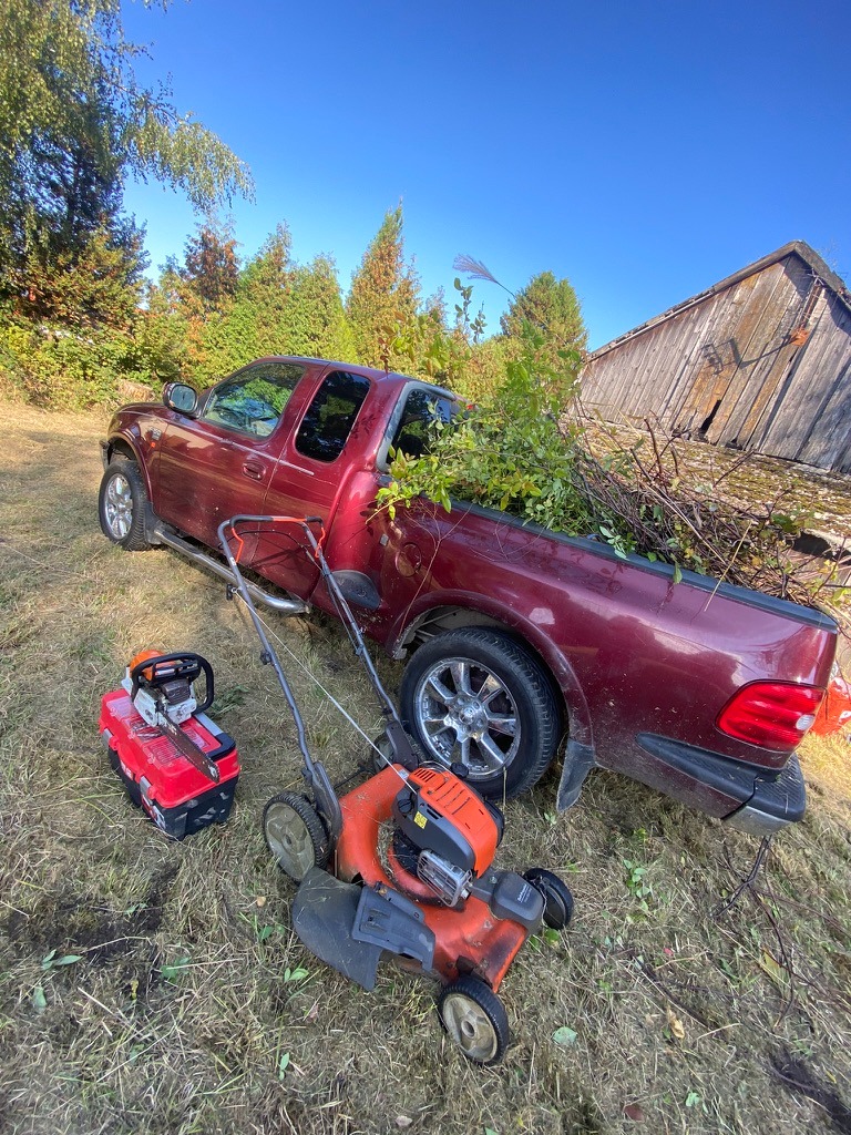 Tniemy drzewa i oczyszczany kompleksowo działki pod inwestycje