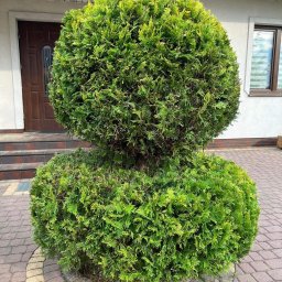 Koszenie trawy Gdańsk 1