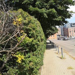 Koszenie trawy Gdańsk 2