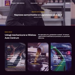 Kacper Wilk - Strona dla lokalnego mechanika