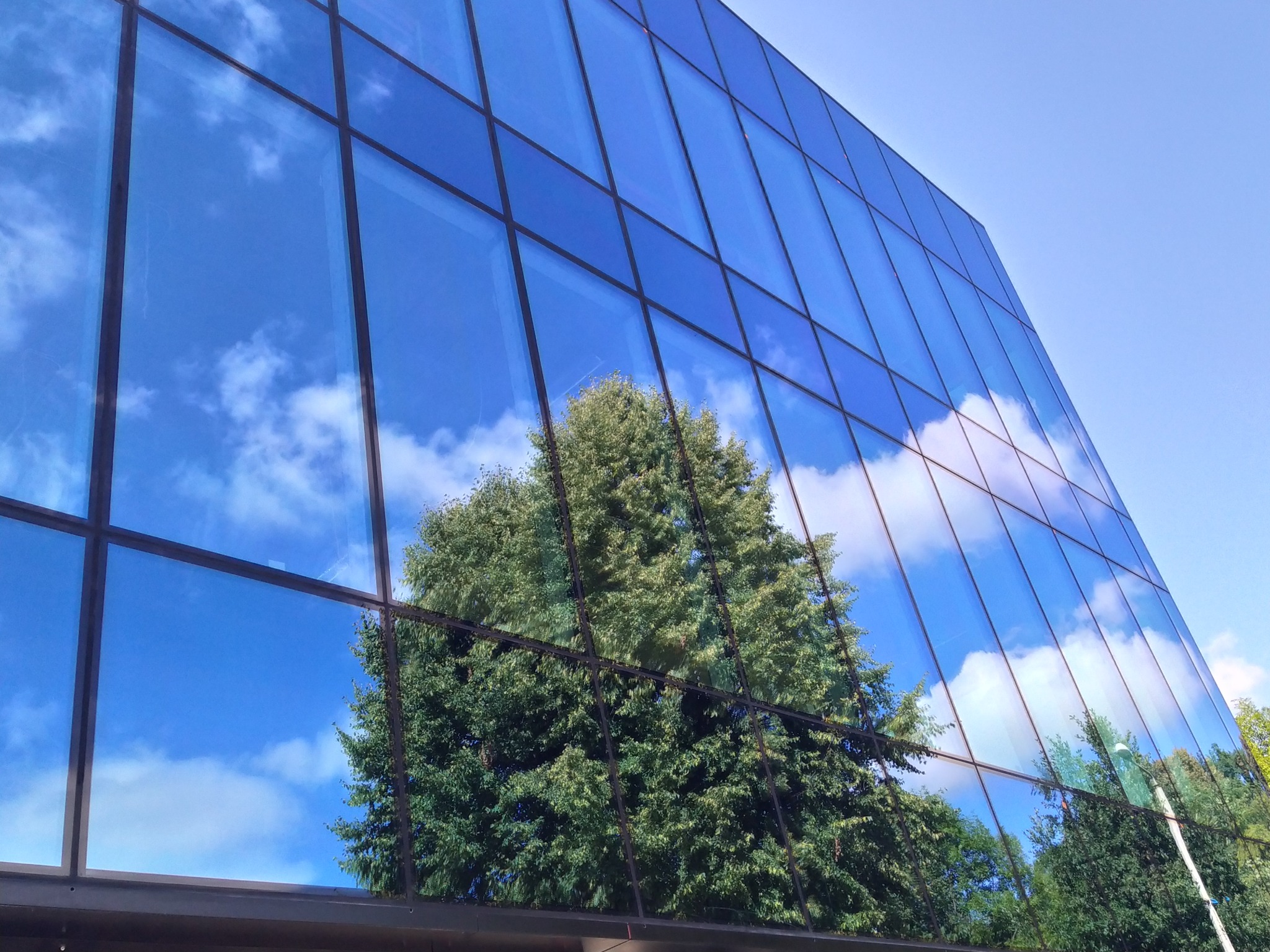 Szklana fasada nowoczesnego budynku biurowego odbijająca błękitne niebo z chmurami i korony drzew.