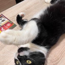 Sprzątanie mieszkań Kielce 4