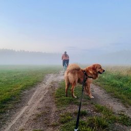 Sprzątanie mieszkań Kielce 3