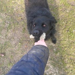 Sprzątanie mieszkań Kielce 1