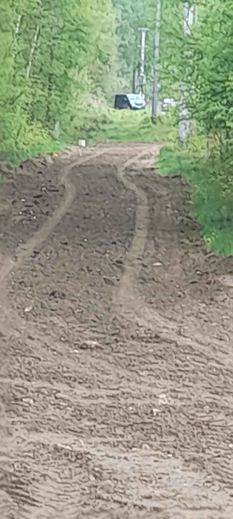 Droga gruntowa po deszczu z wyraźnymi śladami opon prowadząca przez las, w tle widoczny budynek i słup elektryczny.