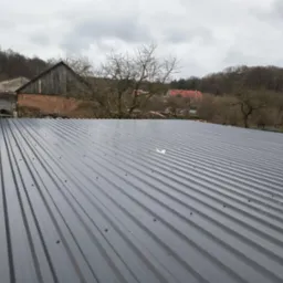 Nowy, szary dach z blachy trapezowej z widocznymi śrubami mocującymi, na tle zabudowań gospodarczych i drzew bez liści pod pochmurnym niebem.