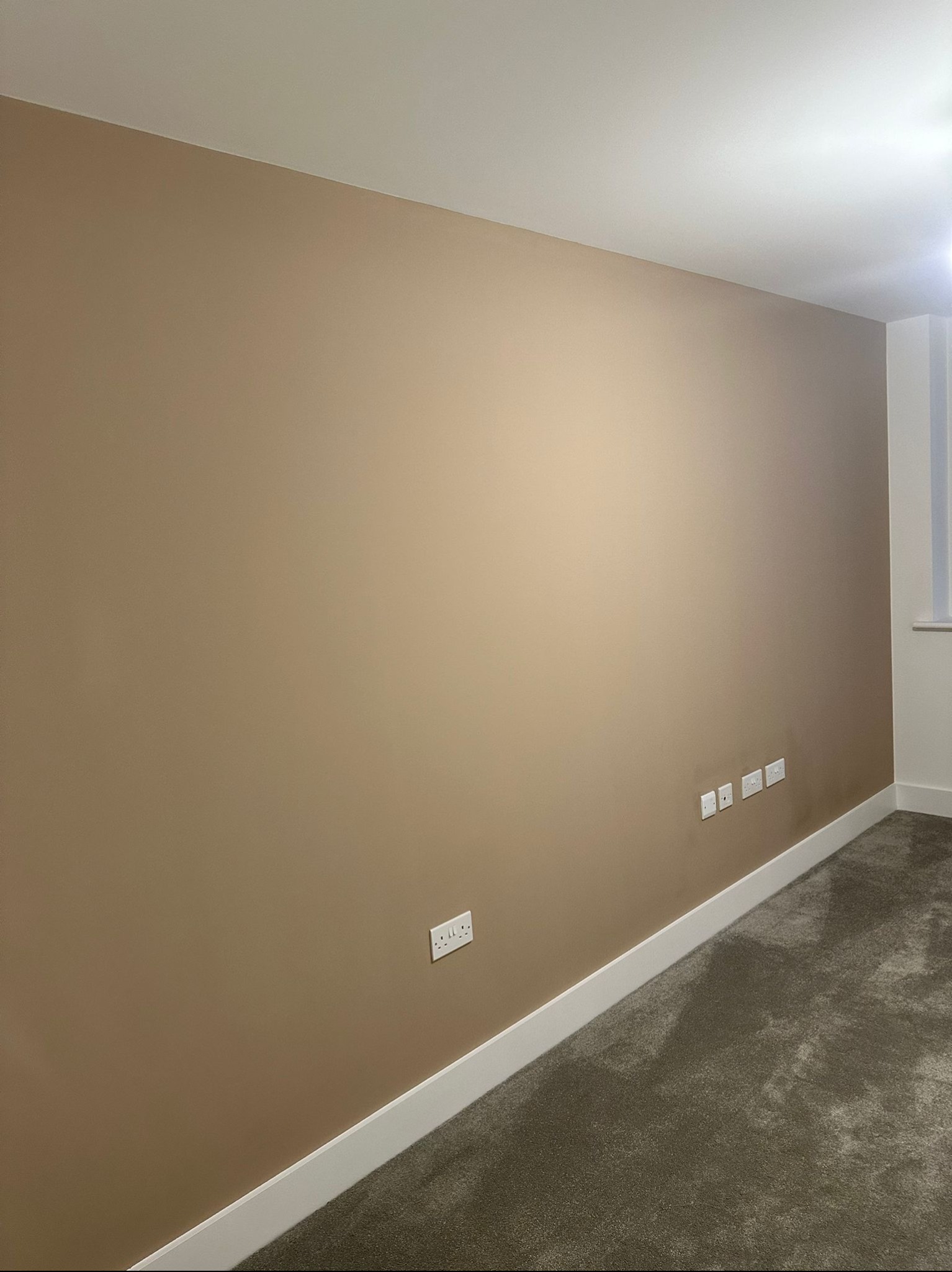Świeżo pomalowana ściana w odcieniach beżu z widocznymi gniazdkami elektrycznymi i białą listwą przypodłogową, wykończona wykładziną dywanową w szarym kolorze.