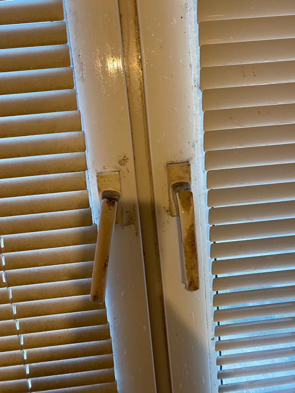 Bardzo brudne, białe okno z roletami poziomymi, widoczne zacieki i plamy na ramie i klamkach.
