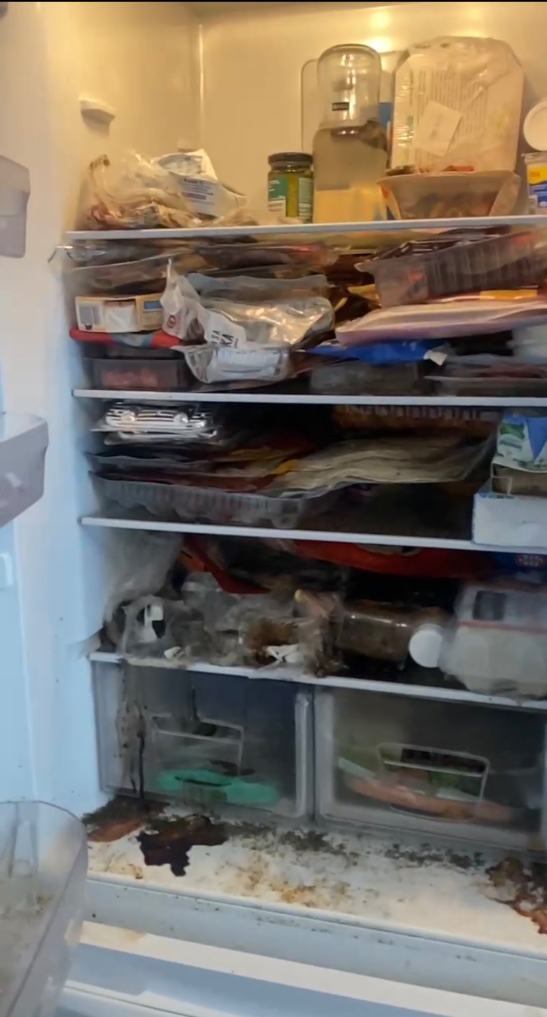 Zdjęcie lodówki przed czyszczeniem