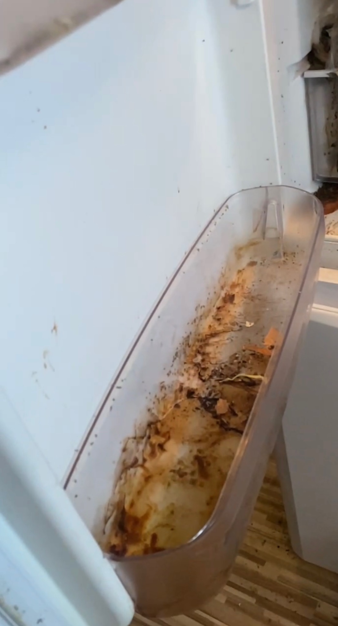 Brudna, plastikowa szuflada z lodówki, pokryta resztkami jedzenia i zabrudzeniami, wyjęta z lodówki, widoczne plamy na ściankach lodówki.