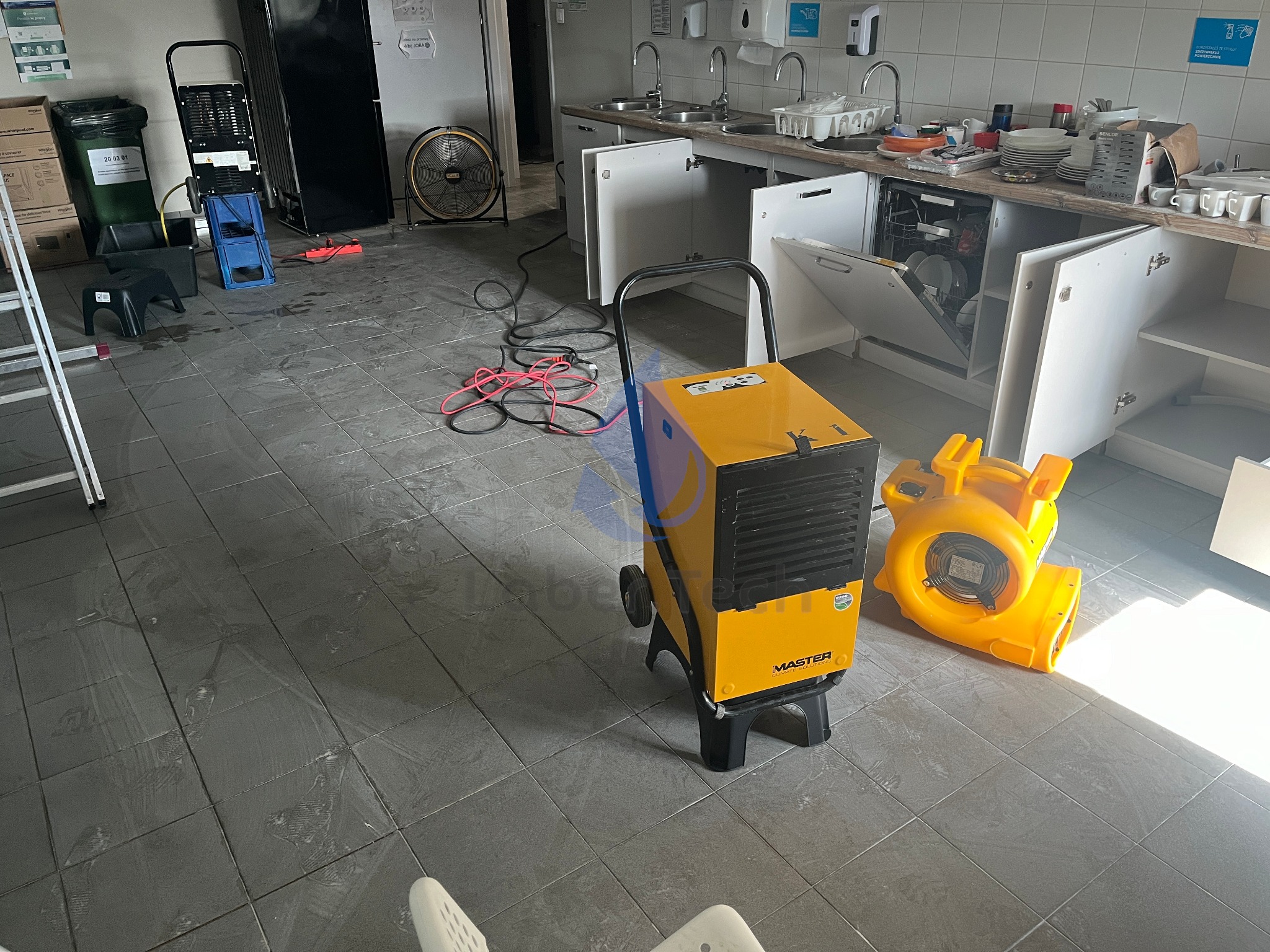 Żółty osuszacz powietrza Master na kółkach i wentylator podłogowy w pomieszczeniu z mokrą, szarą podłogą z płytek, na tle zlewozmywaków, szafek kuchennych i sprzętów.