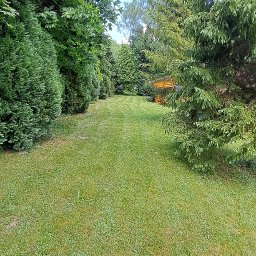 Kana - Widok na równo przystrzyżony trawnik otoczony różnorodnymi drzewami i krzewami, prowadzący w stronę drewnianej konstrukcji w oddali pod błękitnym niebem.