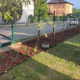 Kana - Świeżo założony trawnik z rabatą wyłożoną korą, wzdłuż ogrodzenia z metalowej siatki, z młodymi drzewkami i elementami dekoracyjnymi, widok na dom w tle.