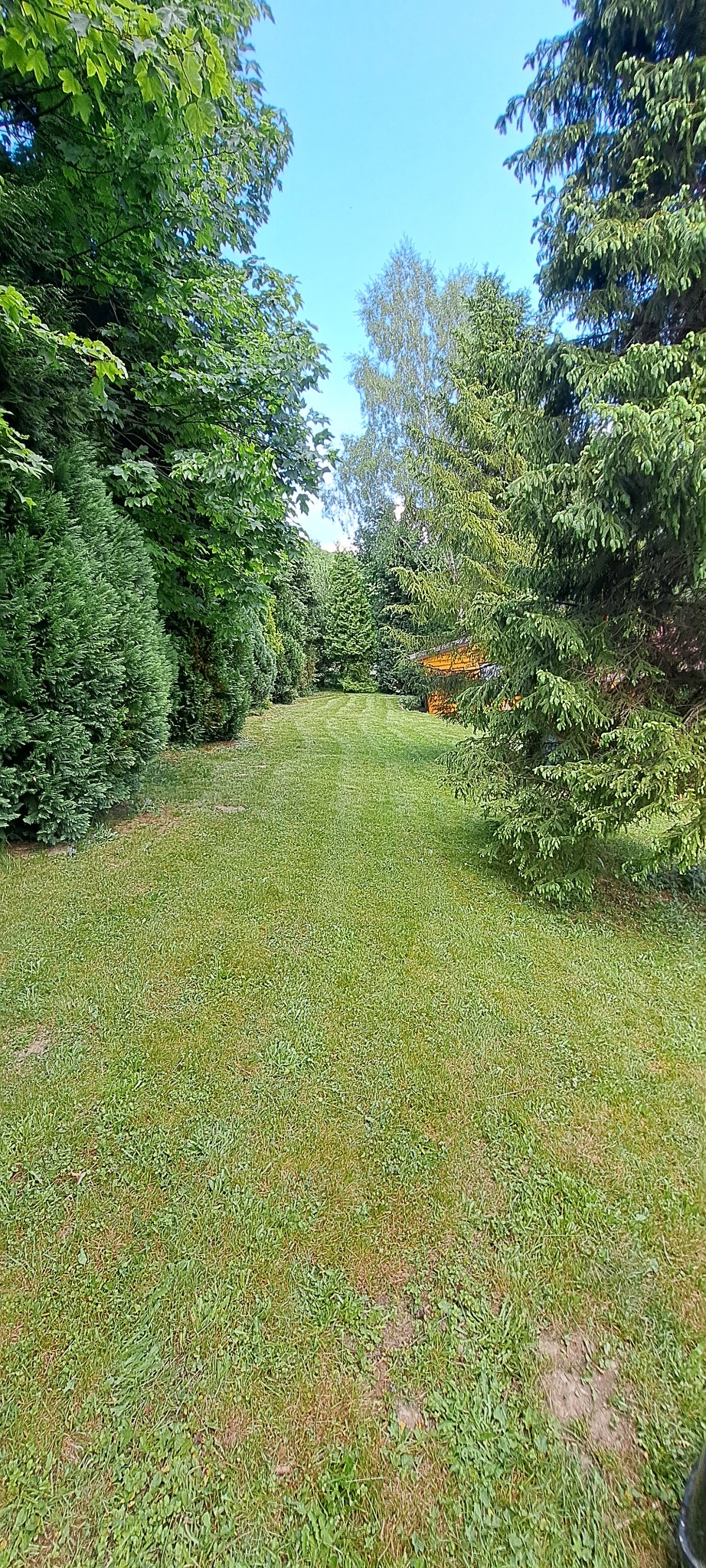 Widok na równo przystrzyżony trawnik otoczony różnorodnymi drzewami i krzewami, prowadzący w stronę drewnianej konstrukcji w oddali pod błękitnym niebem.