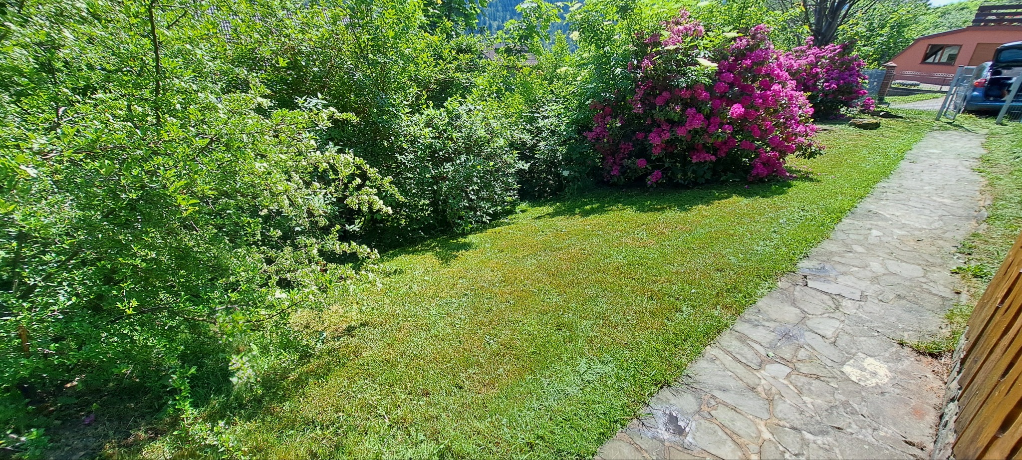 Widok na równo przystrzyżony trawnik z krzewami i ścieżką z kamienia łupanego w słoneczny dzień.