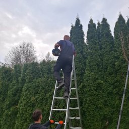 Pielęgnacja ogrod&oacute;w Sanok - avatar