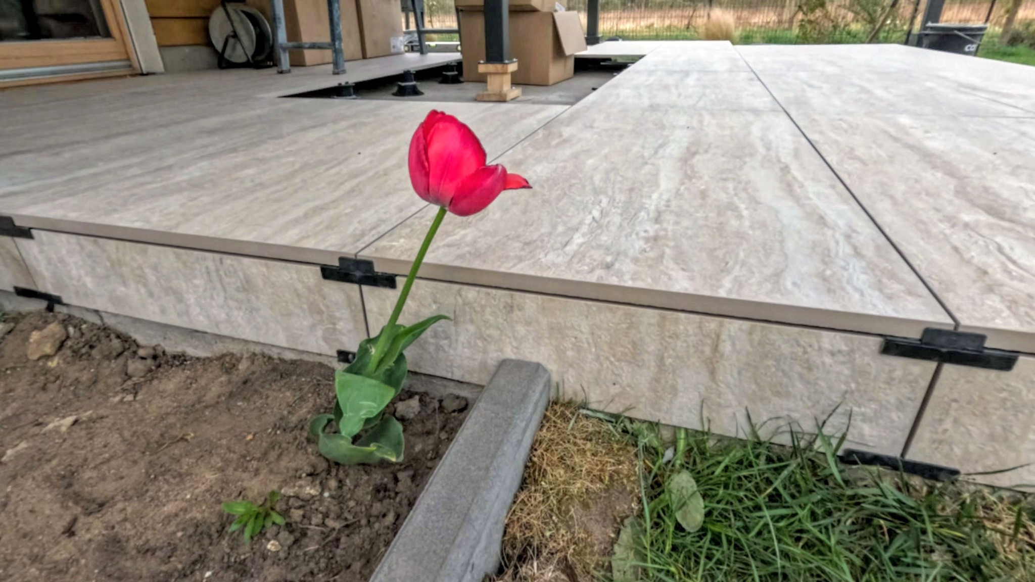 Jasny taras z płytek imitujących kamień, z widocznym systemem mocowania. W tle kartony i elementy konstrukcyjne, a na pierwszym planie czerwony tulipan.