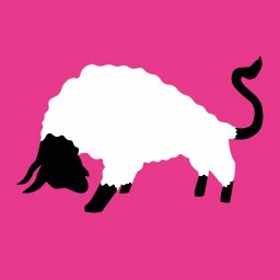 Grafik komputerowy Poznań 4