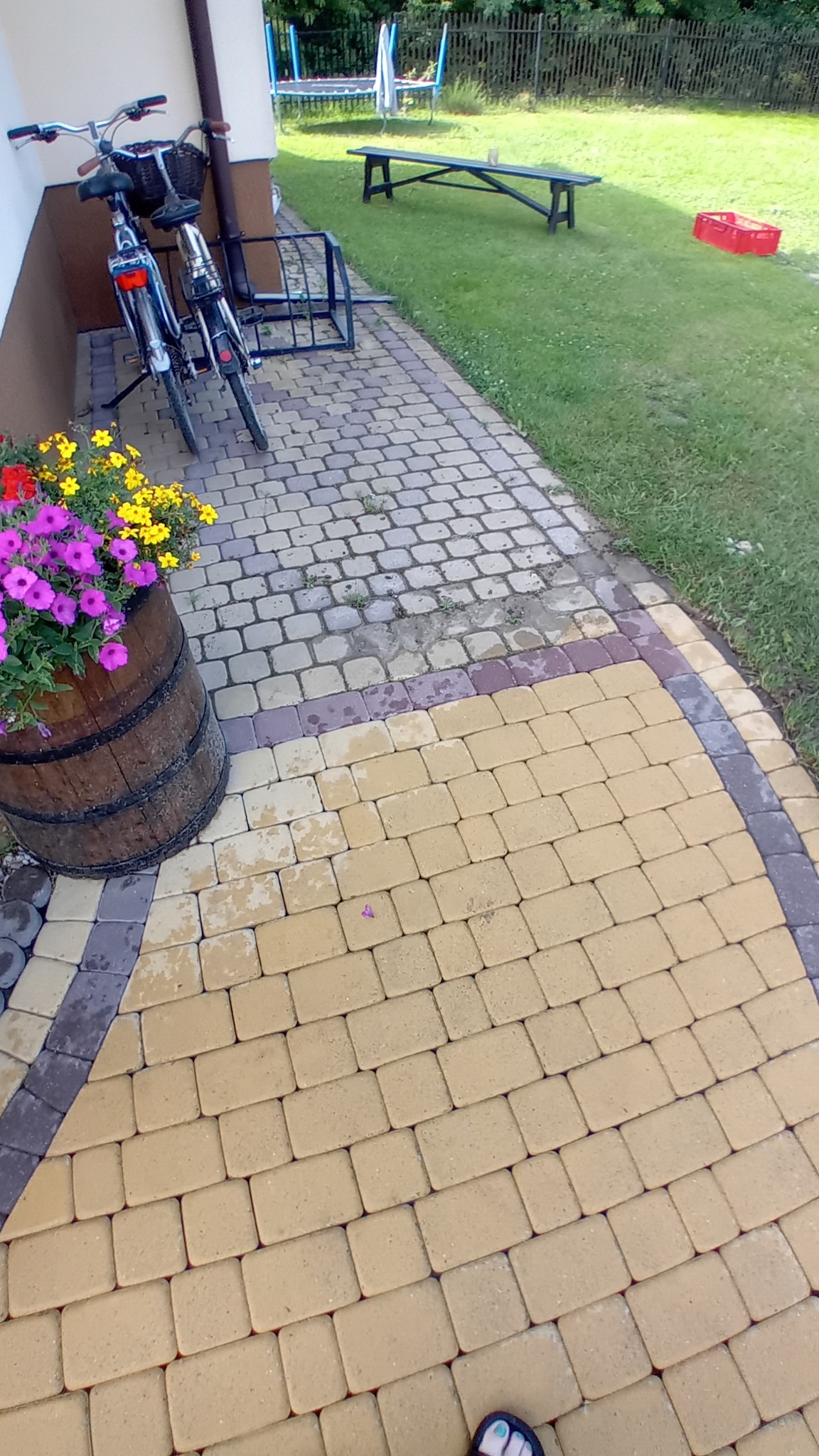 Żółta kostka brukowa na podwórku, częściowo mokra, z rowerami opartymi o ścianę domu i beczką z kwiatami. W tle trawnik z ławką i trampoliną.