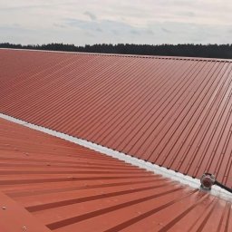 Wymiana dachu Berlin 1