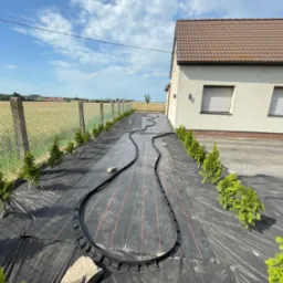 Przygotowanie terenu pod ścieżkę w ogrodzie: rozłożona agrotkanina z wytyczoną trasą i posadzone małe tuje wzdłuż ogrodzenia. Słoneczny dzień.