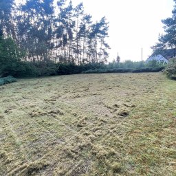 Koszenie trawy Gogolin 1