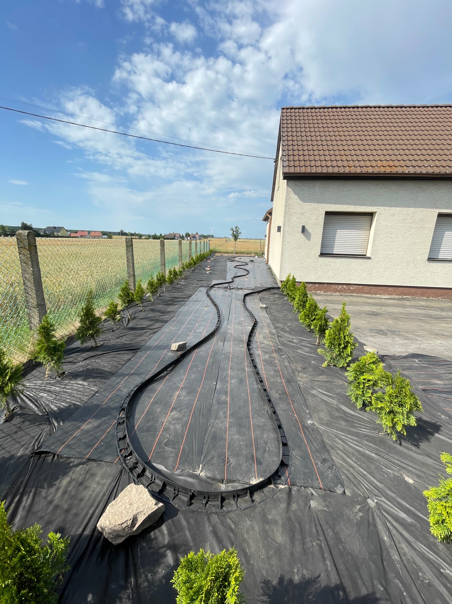 Przygotowanie terenu pod ścieżkę w ogrodzie: rozłożona agrotkanina z wytyczoną trasą i posadzone małe tuje wzdłuż ogrodzenia. Słoneczny dzień.