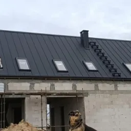 Dom w trakcie budowy z ciemnym dachem, oknami dachowymi i drabinką kominiarską. Pies siedzi na pierwszym planie.