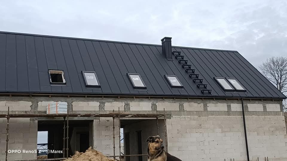 Dom w trakcie budowy z ciemnym dachem, oknami dachowymi i drabinką kominiarską. Pies siedzi na pierwszym planie.