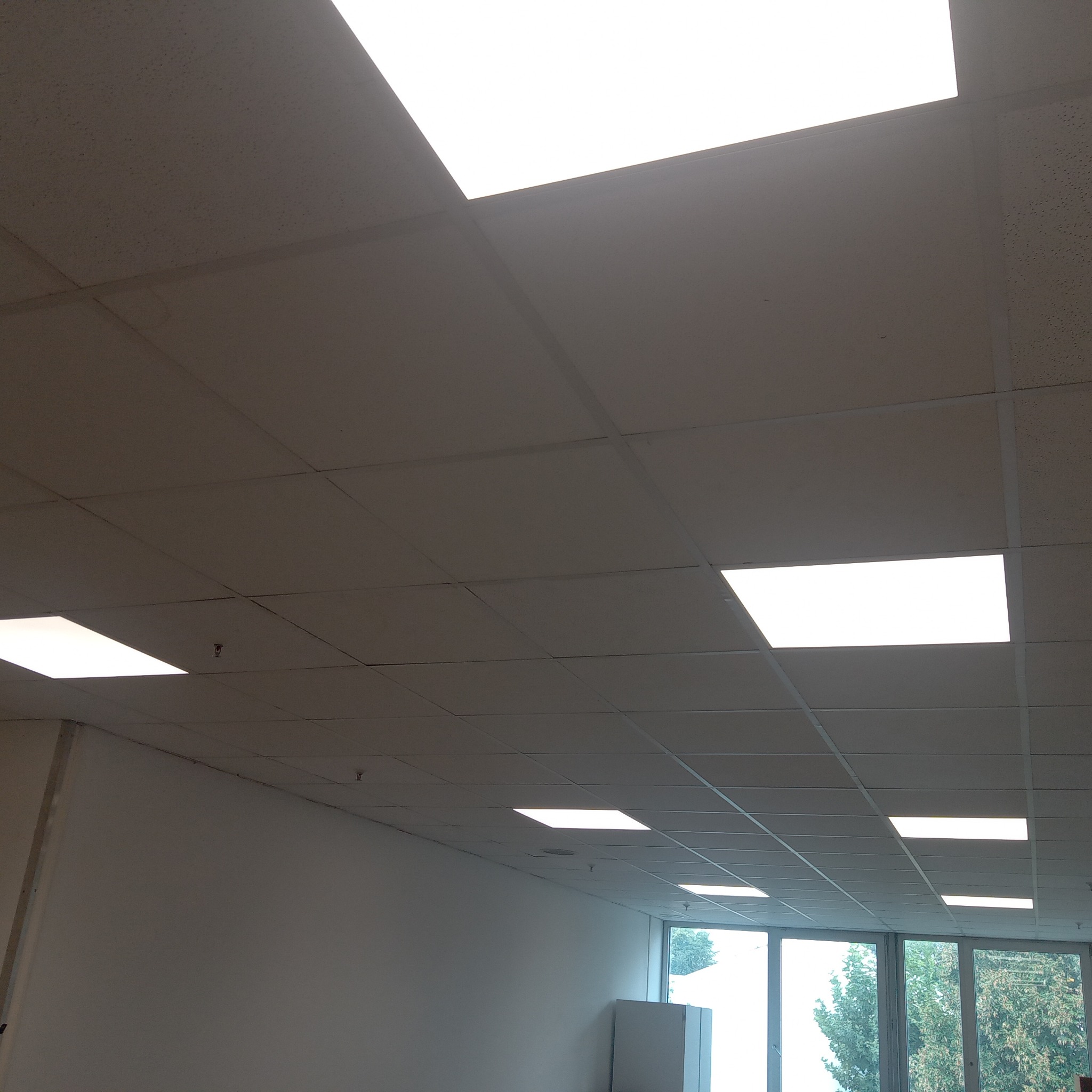 Równomiernie rozmieszczone, prostokątne panele oświetleniowe LED w suficie podwieszanym biura z widocznymi kratownicami i elementami instalacji przeciwpożarowej.