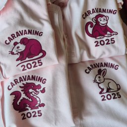 Nadruki na koszulkach Końskie 1