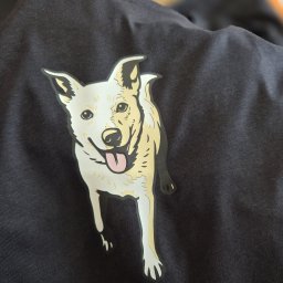 Nadruki na koszulkach Końskie 1