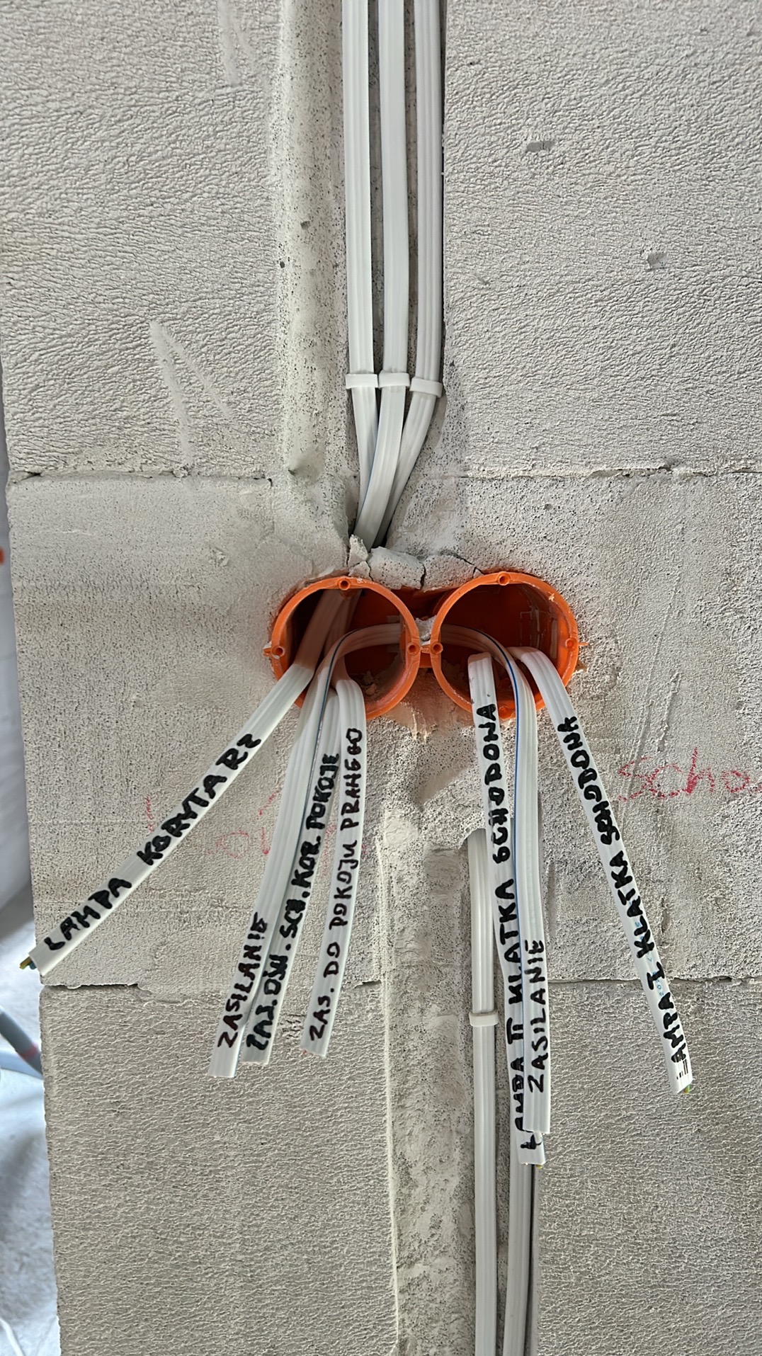 Przewody elektryczne z opisami markerem wychodzące z podwójnej, pomarańczowej puszki instalacyjnej w ścianie z betonu komórkowego. Widoczne oznaczenia przewodów: 'Lampa korytarz', 'Zasilanie zaj.