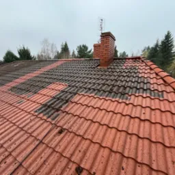 Częściowo oczyszczony dach z czerwonej dachówki ceramicznej, widoczna różnica między czystą a zabrudzoną powierzchnią, ceglany komin z anteną na szczycie.