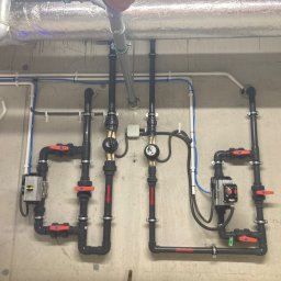 Oczka wodne Warszawa 3