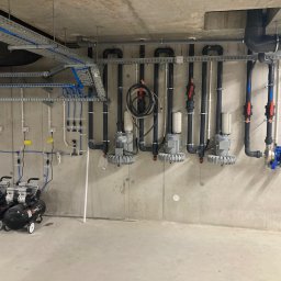 Oczka wodne Warszawa 4