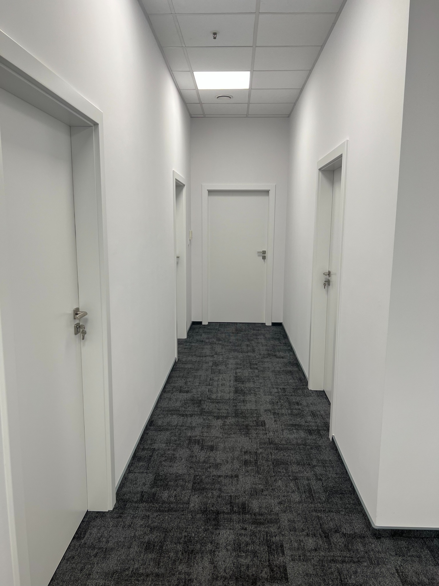 Korytarz biurowy z rzędem białych drzwi i szarą wykładziną podłogową, widok z perspektywy, oświetlenie sufitowe.