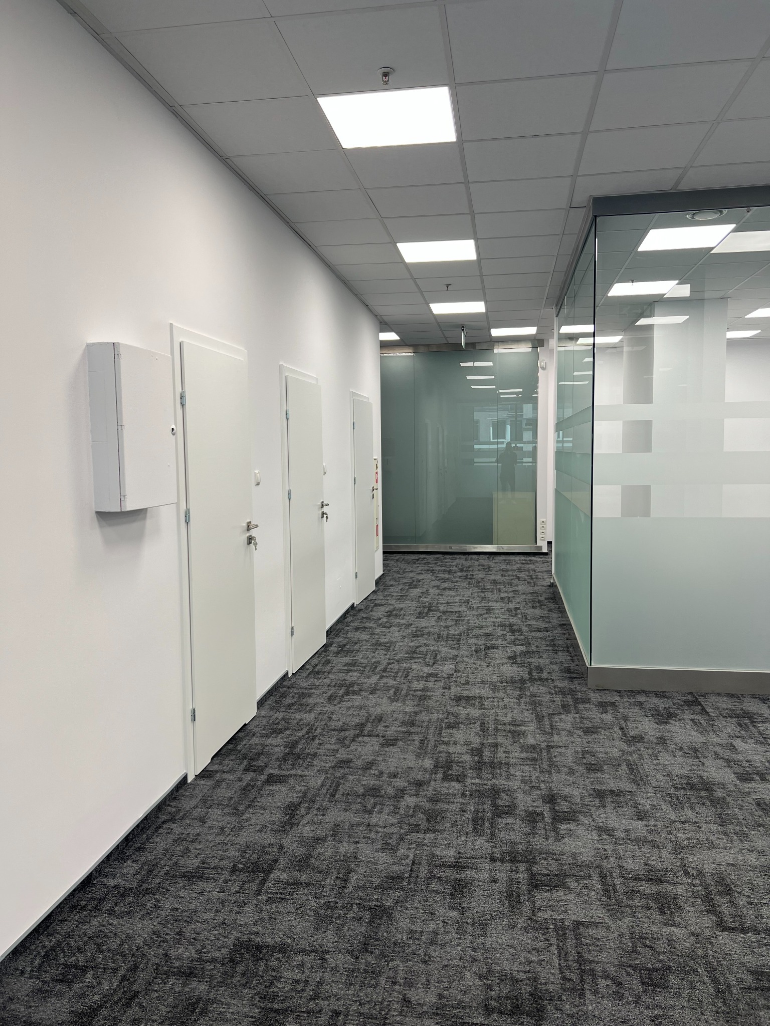 Korytarz biurowy z rzędem białych drzwi po lewej stronie i przeszkloną ścianą po prawej, widoczny wzór na wykładzinie podłogowej.
