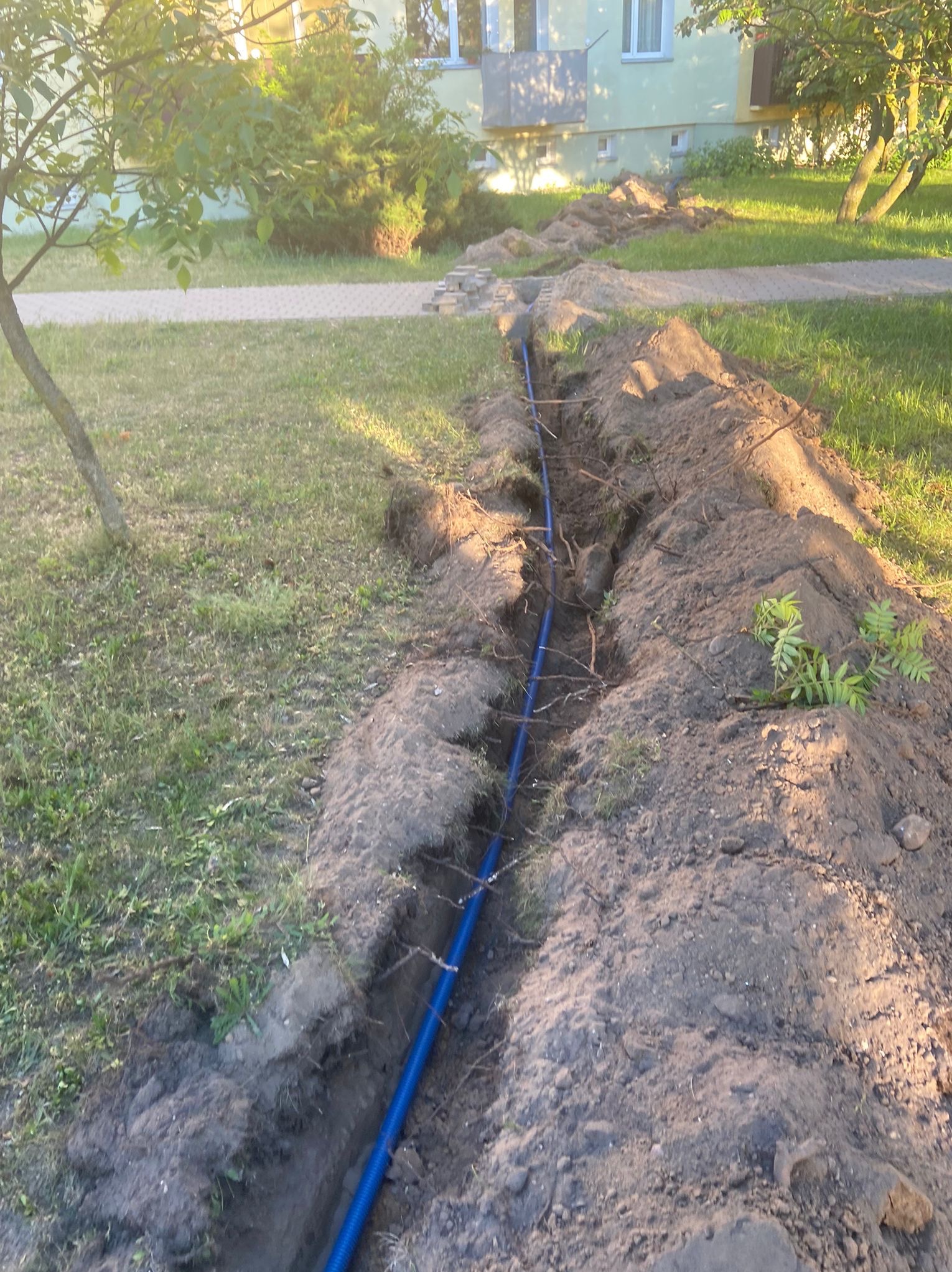 Wąski wykop w trawie, z niebieską rurą karbowaną na dnie, prowadzący w kierunku budynku z kostką brukową na chodniku.