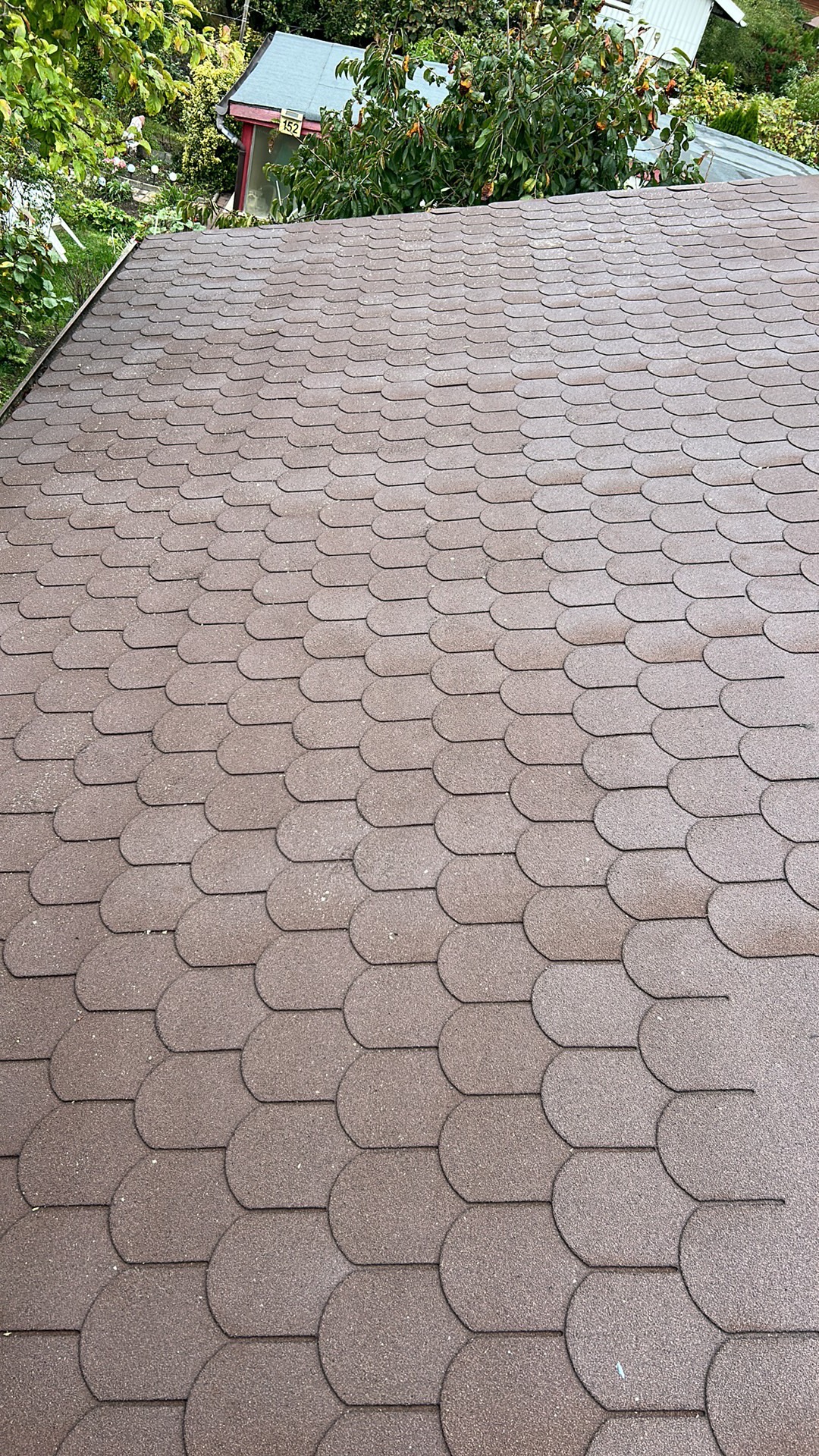 Nowy dach pokryty brązową dachówką bitumiczną typu karpiówka, widok z góry na fragment dachu, w tle zieleń drzew i budynek z numerem 152.