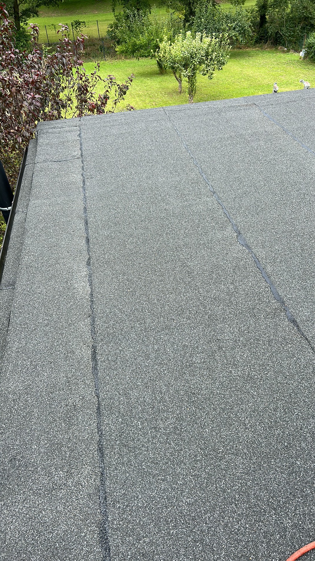 Szary dach pokryty papą z widocznymi łączeniami, na tle zieleni drzew i trawnika.