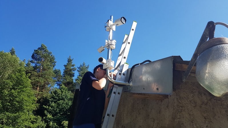 Pracownik na drabinie instaluje system monitoringu z trzema kamerami na zewnątrz budynku, widok na niebieskie niebo i drzewa w tle.