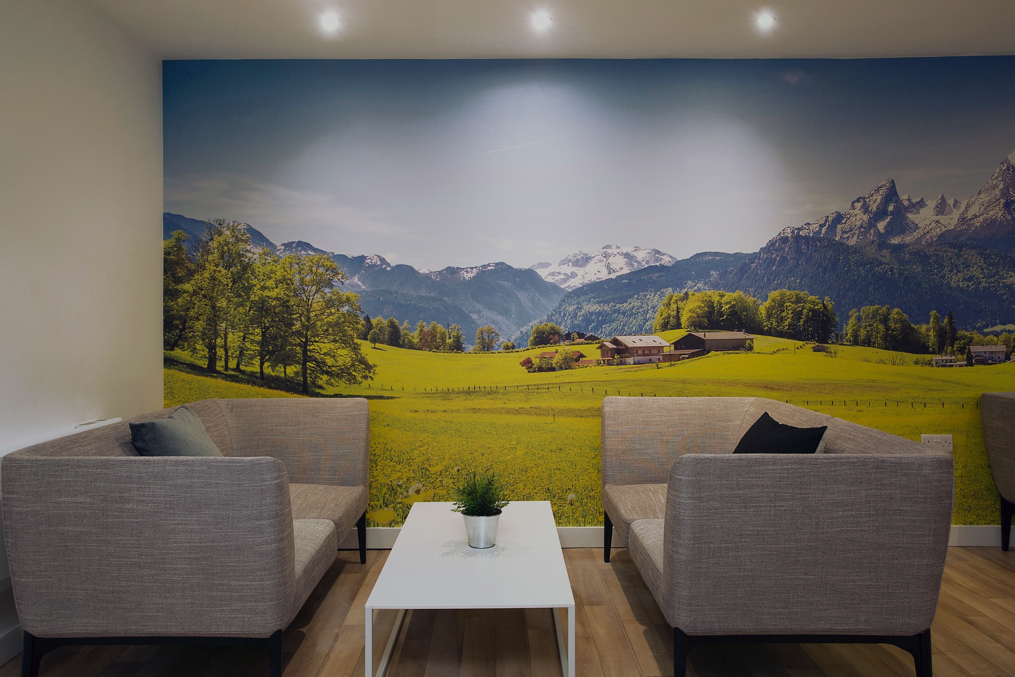 Pokój z dwoma szarymi sofami, białym stolikiem kawowym z rośliną w doniczce i fototapetą przedstawiającą alpejski krajobraz z zielonymi łąkami i domami.